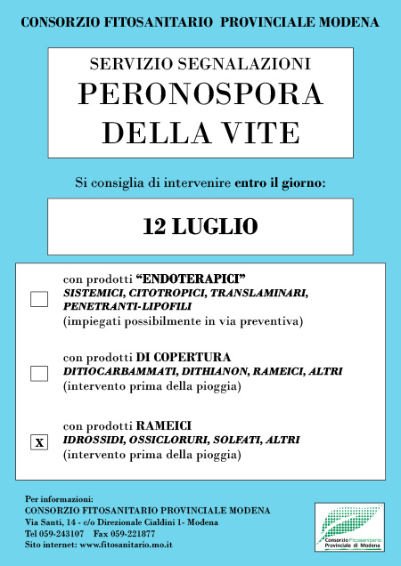 Peronospora_2014-Manifesto_n.13-12_luglio.jpg
