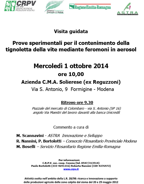 Tignoletta_Uva-1.jpg
