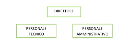 Organigramma.jpg