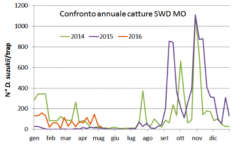 Suzukii_grafico_maggio.png
