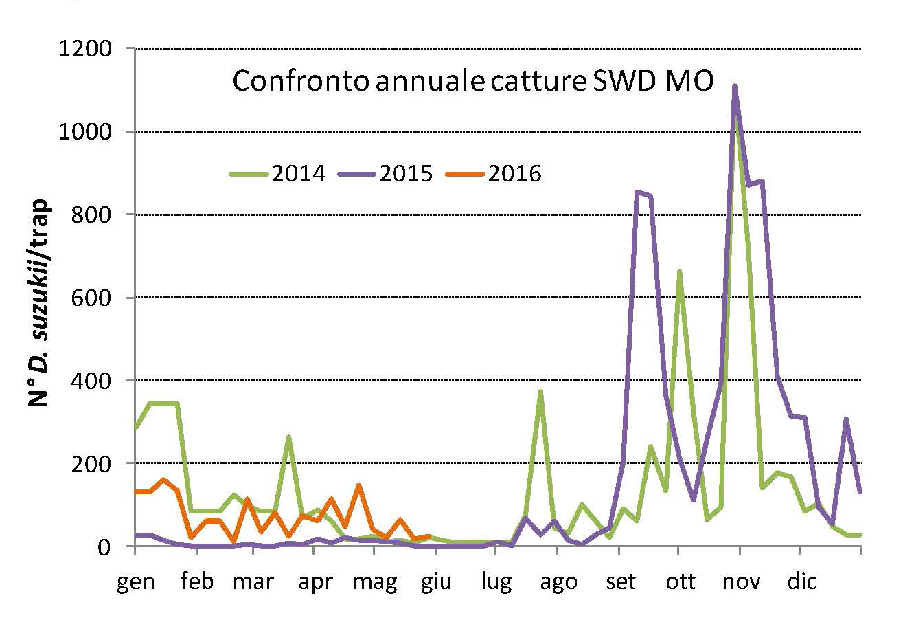Comunicato_DS._27.5.jpg