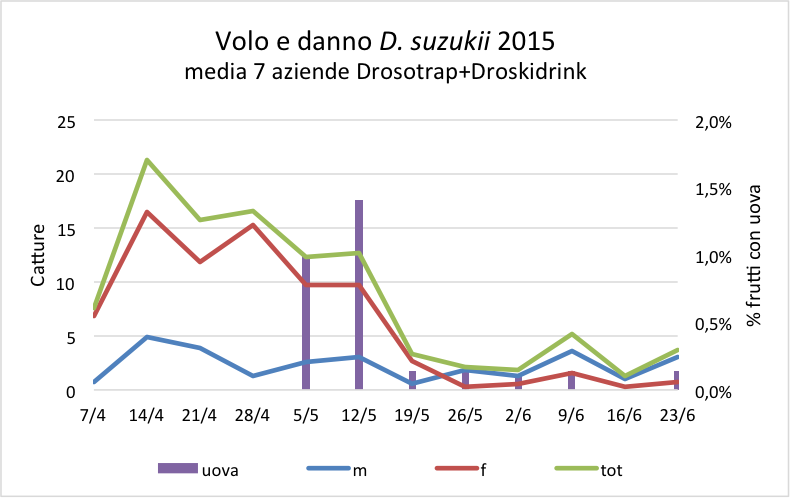 tabella_suzukii_25-06.png