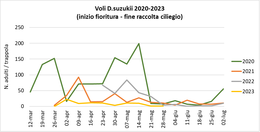 Suzukii_30-05-23.png