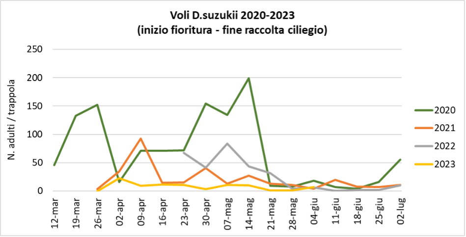 Suzukii_06-05-23.png