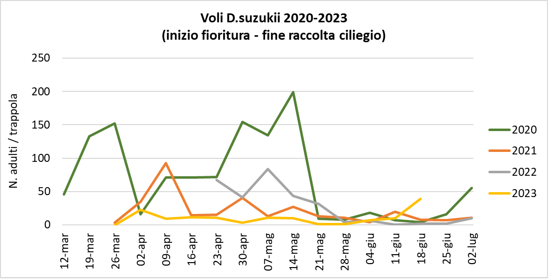 Suzukii_20-06-23.png