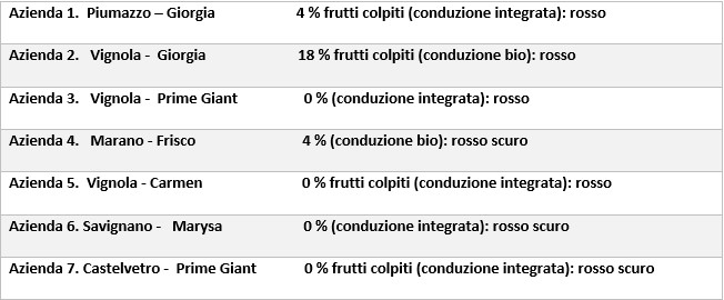 Comunicato_27-05.jpg