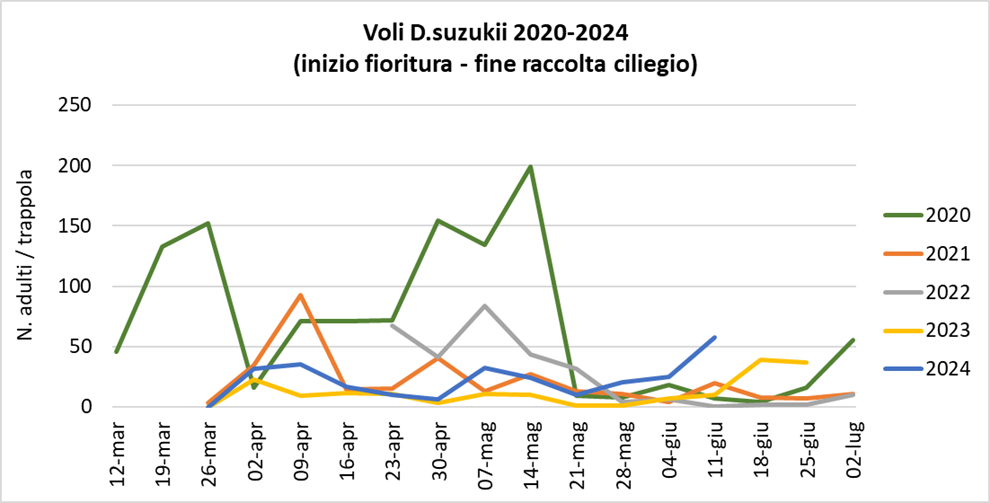 voli_Suzukii_10_giugno.png