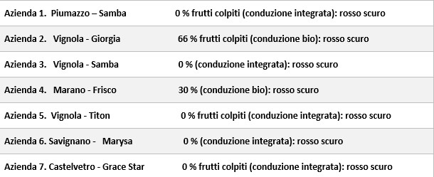 Suzukii_3_giugno.jpg