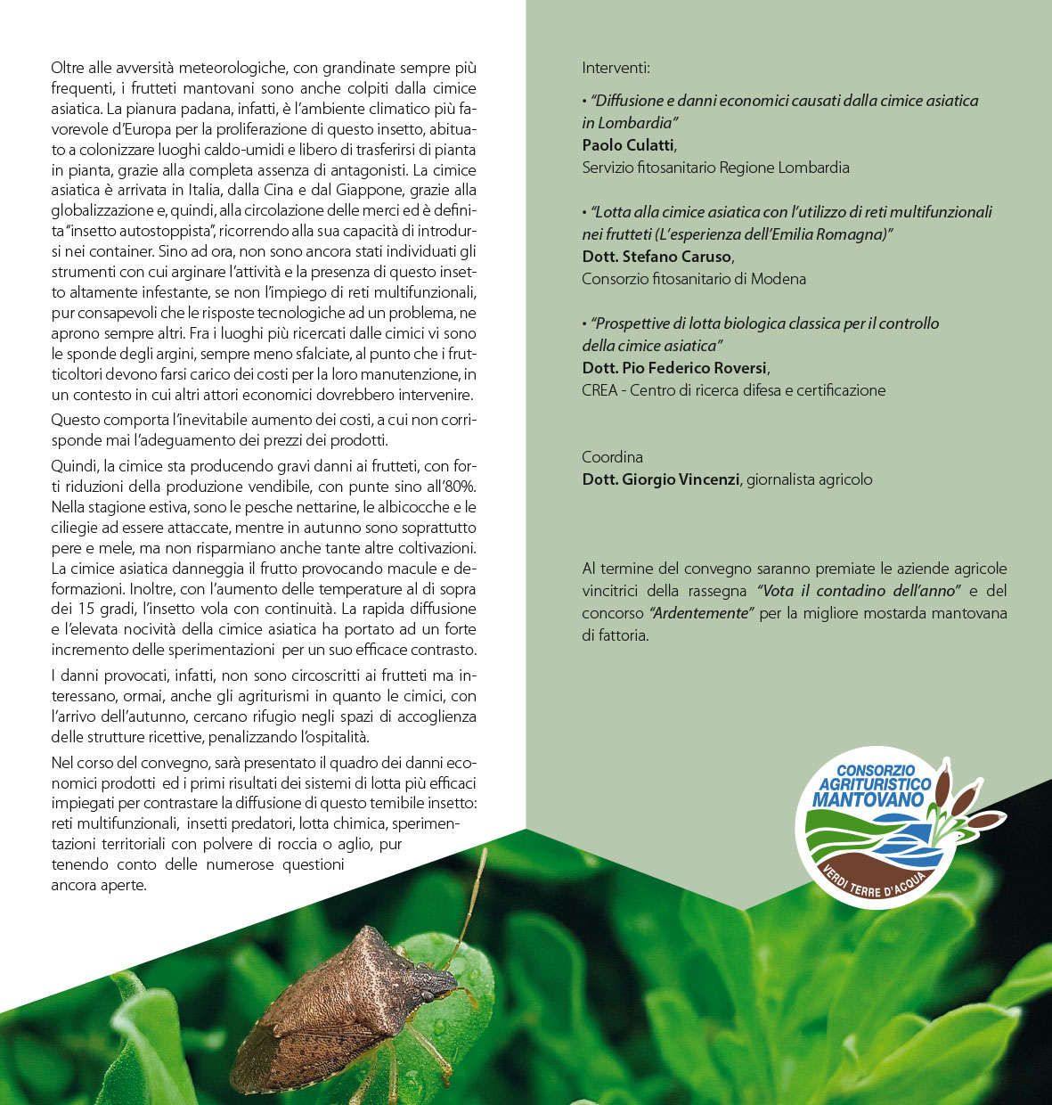 Convegno_sui_danni_della_cimice_asiatica__3_09_2019-2.jpg