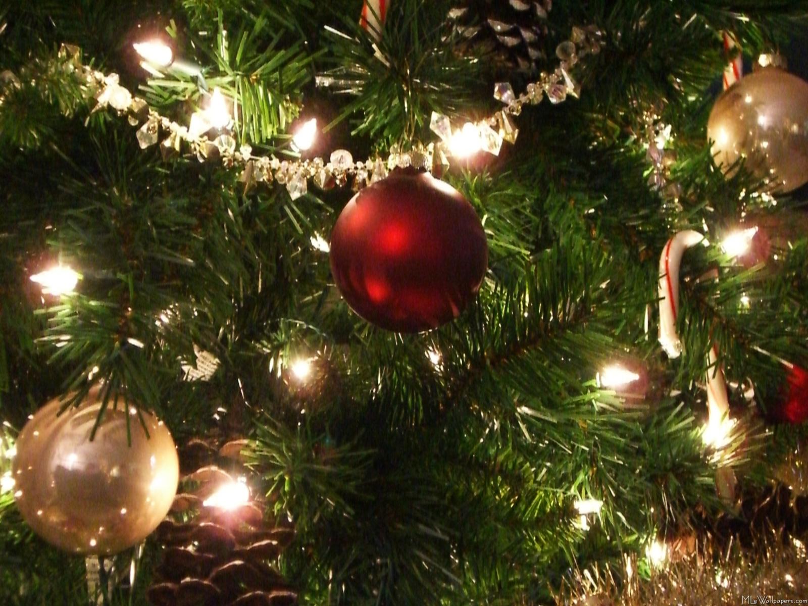 pull-up-christmas-tree-with-lights.jpg