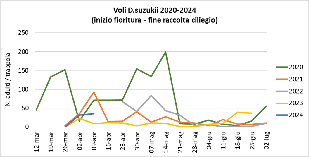Voli_Suzukii.png
