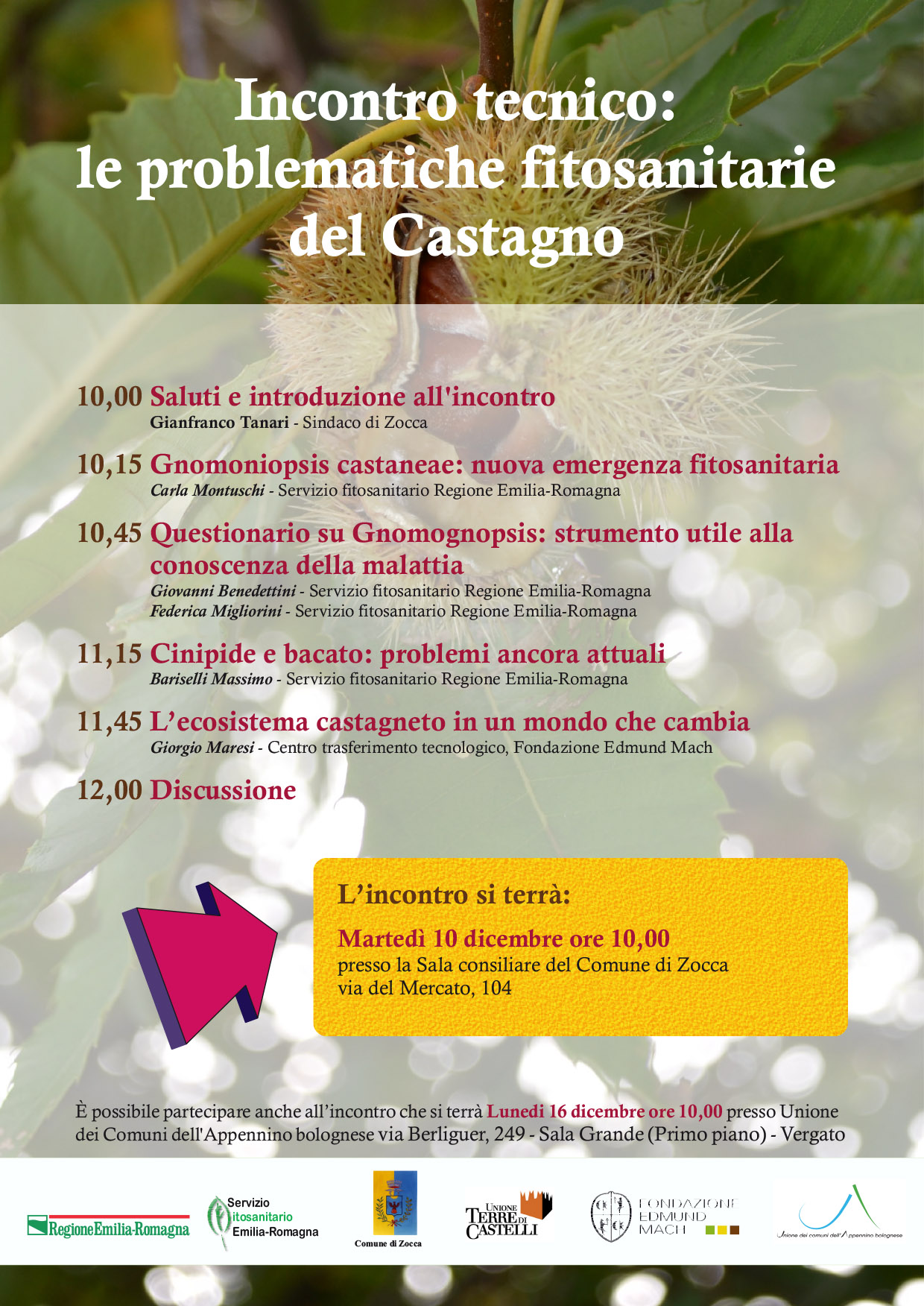 Locandina_Castagno_ZOCCA.jpg