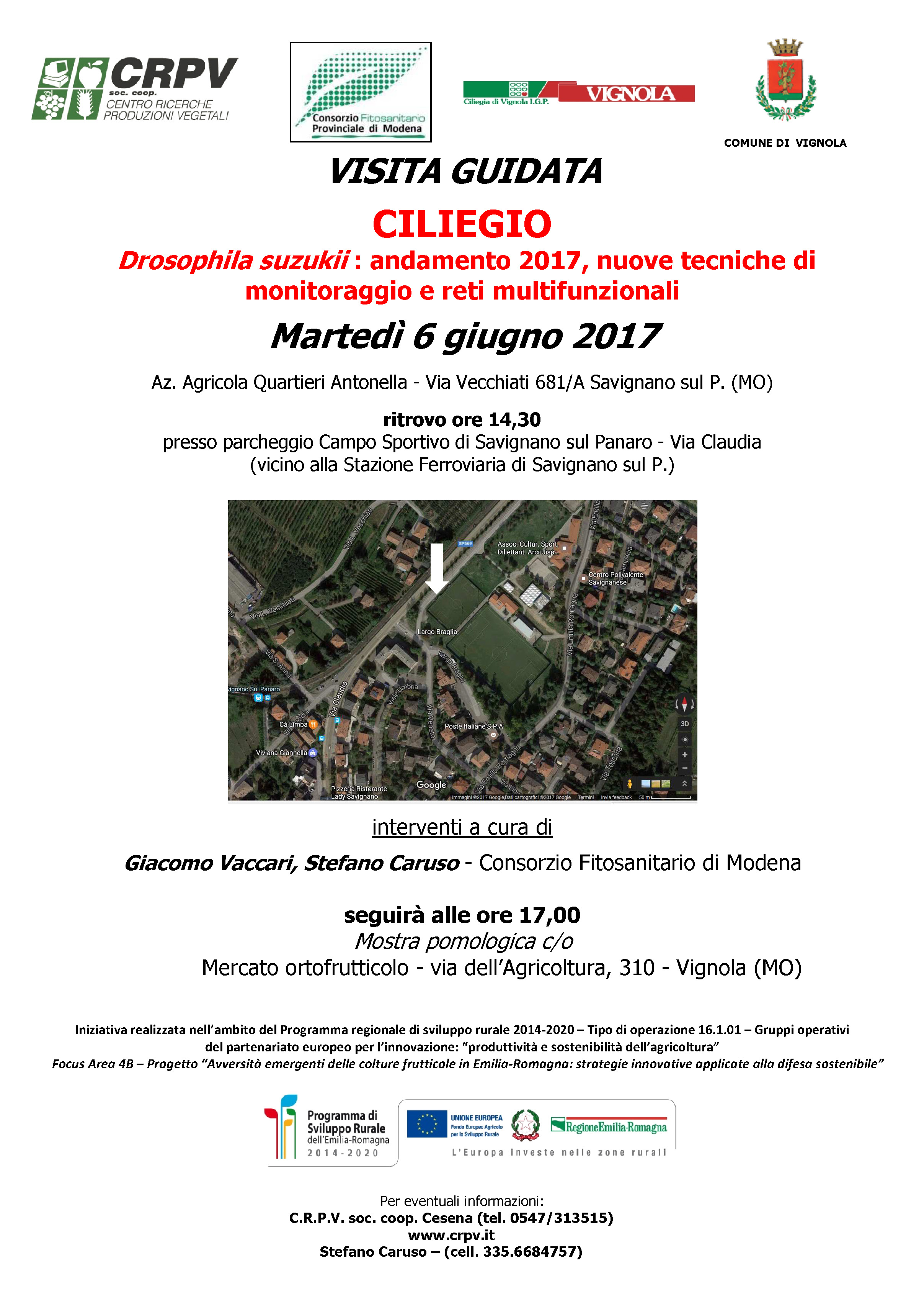 CiliegioDrosophilaMO1.jpg