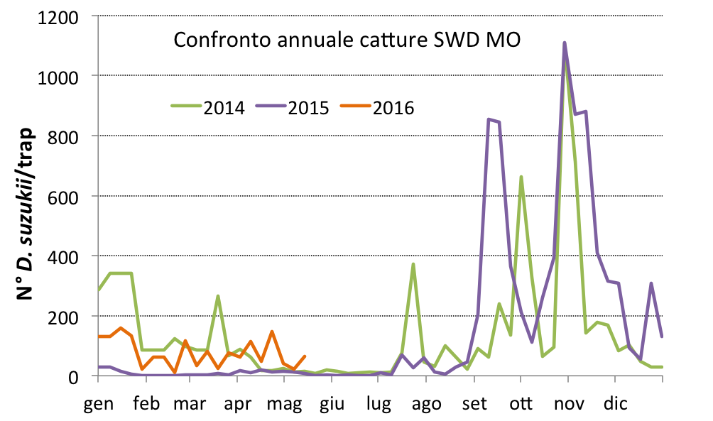 grafico_13_maggio.png