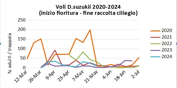 Voli_Sukukii.jpg
