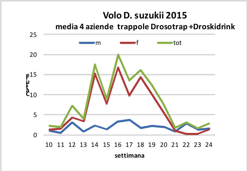tabella_volo_suzukii.png