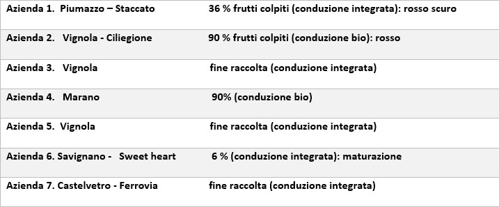 Comunicato_17_giugno.jpg