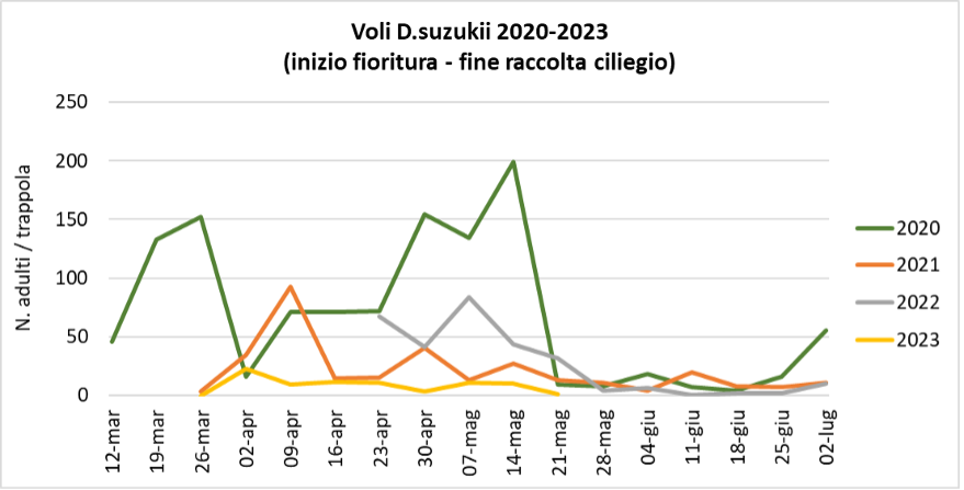 Suzukii_23-05-23.png