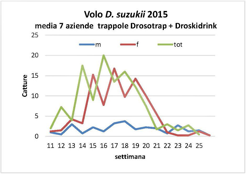 Comunicato_DS17.6.jpg