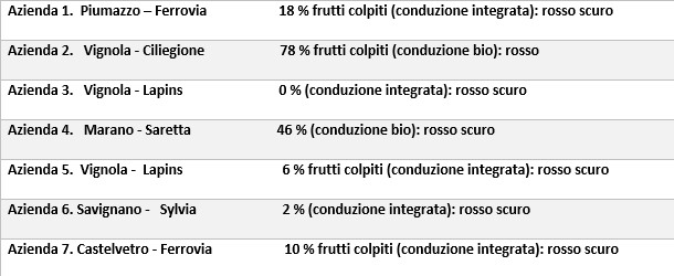 Tabella_Suzukii_10_giugno.jpg