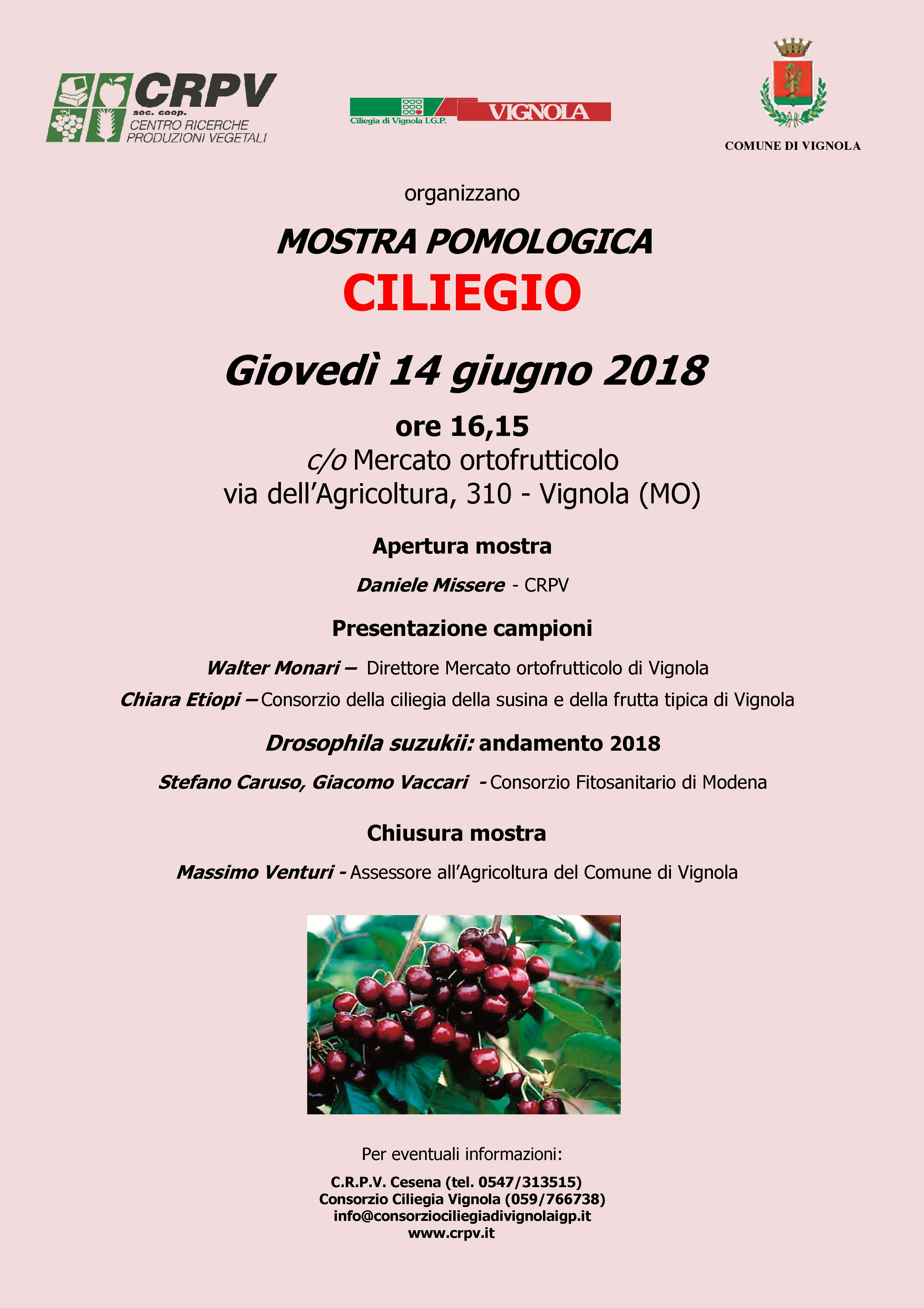 MostraCiliegioVignola18.jpg