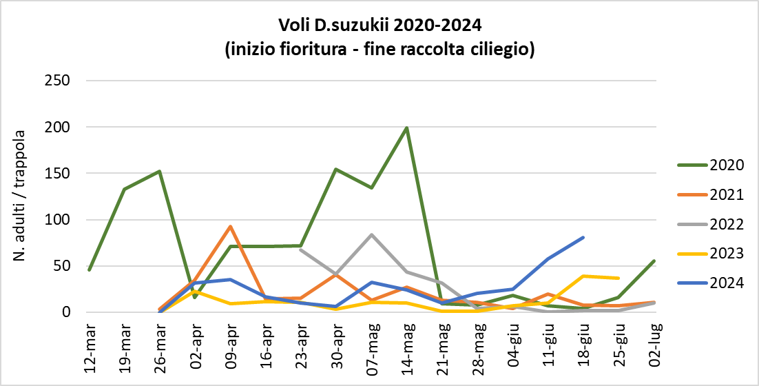 voli_Suzukii_17_giugno.png