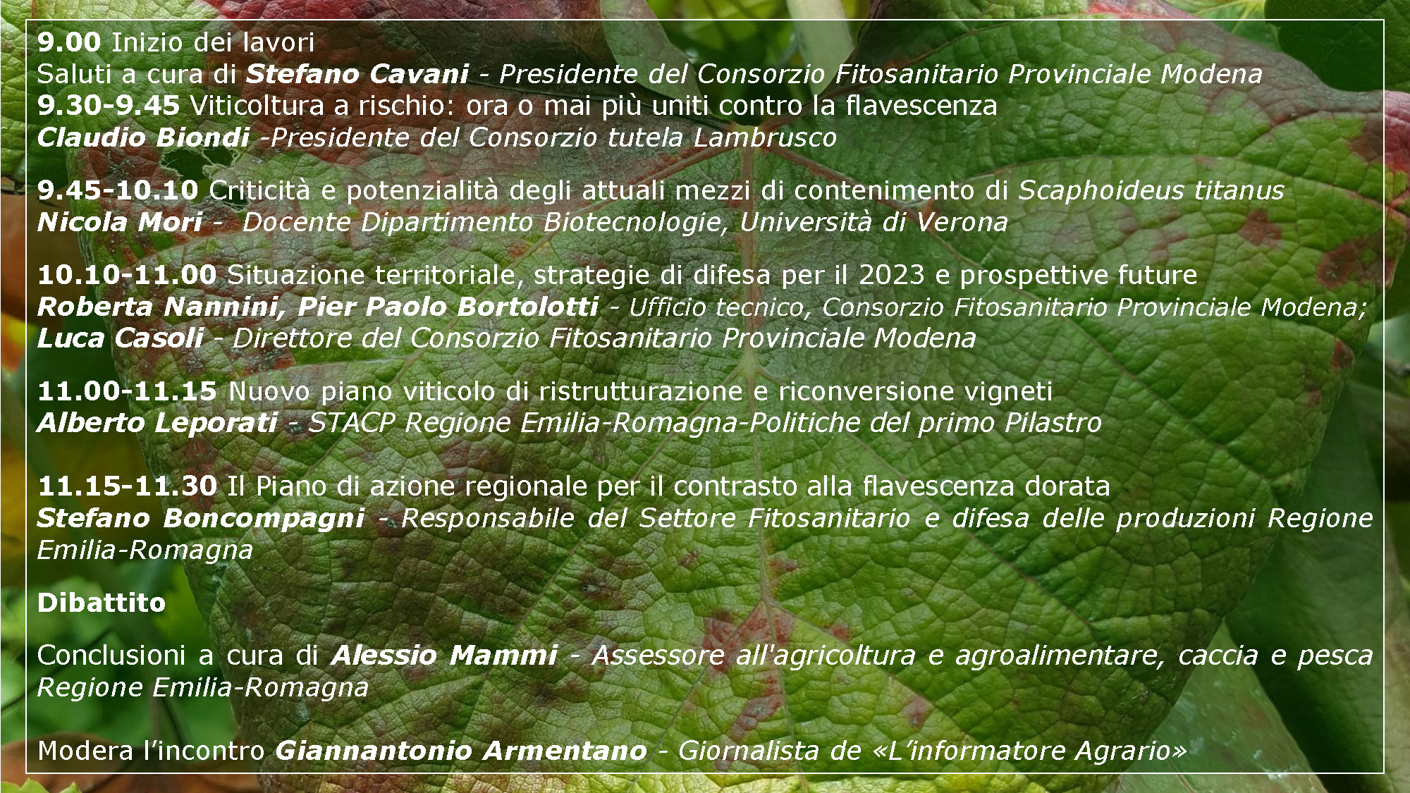 11_marzo_2023_Programma_Incontro_Flavescenza_Dorata_vite_Pagina_2.jpg