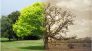Clima: aggiornamento nazionale ISPRA