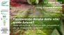 Incontro Flavescenza dorata: save the date