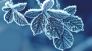 Anno nuovo con freddo e basse temperature