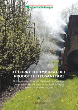 immagine_patentini_guida.jpg