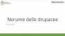 NERUME DELLE DRUPACEE