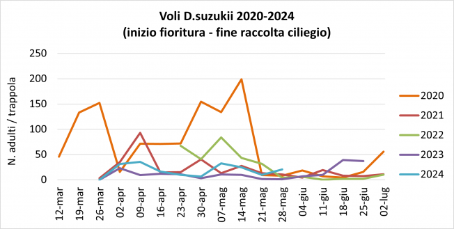 Suzukii_fioritura.png