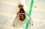 Mosca dell’Olivo: in aumento i voli e le ovodeposizioni
