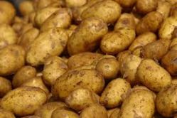 patate_x_sito.jpg