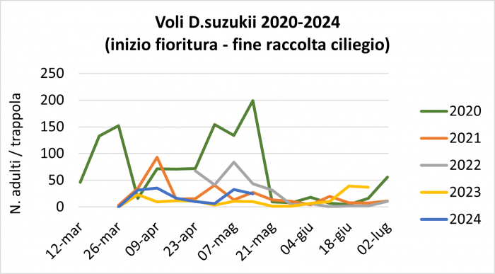 Immagine1.png