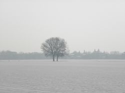 Neve_2012_1.JPG