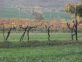 Notiziario Annata Agraria 2018